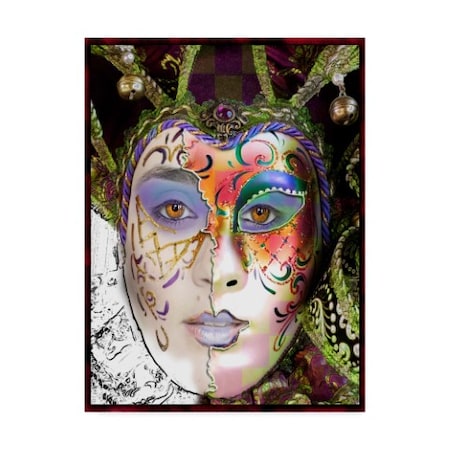 Dana Brett Munach 'Masquerade' Canvas Art,14x19